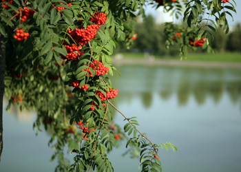 Similar image 22278086