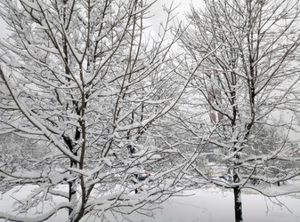 Similar image 22278092