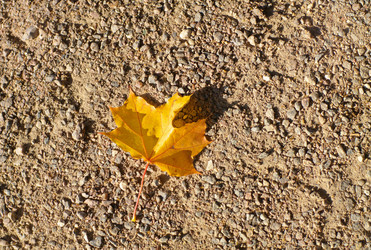 Similar image 22278100