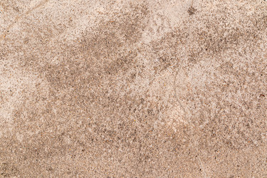 Similar image 22249017