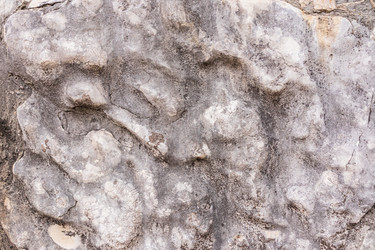 Similar image 22249019