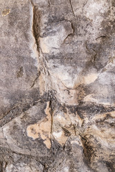 Similar image 22249021