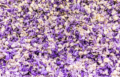 Similar image 22249031