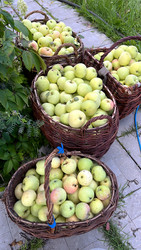 Similar image 22250839