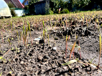 Similar image 22248708