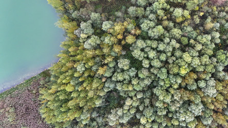 Similar image 22274383