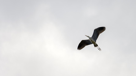 Similar image 22274395