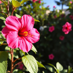 Similar image 22251603