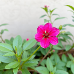 Similar image 22251604