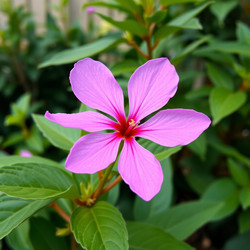 Similar image 22251605