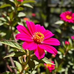 Similar image 22251606