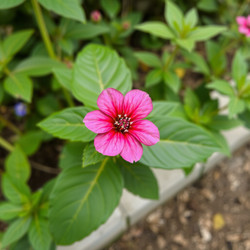 Similar image 22251607