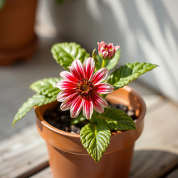 Similar image 22251609