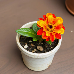 Similar image 22251610