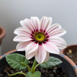 Similar image 22251611