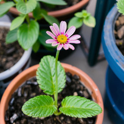 Similar image 22251612