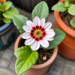 Similar image 22251614