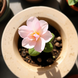 Similar image 22251617