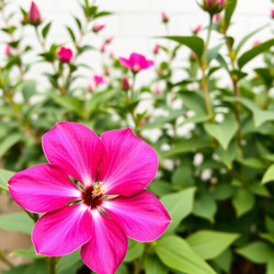 Similar image 22251619