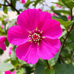 Similar image 22251620