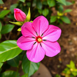 Similar image 22251621