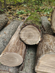 Similar image 22250826