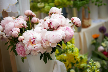 Similar image 22252051