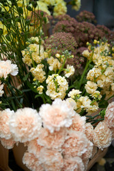 Similar image 22252052