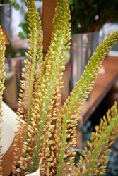 Similar image 22252096