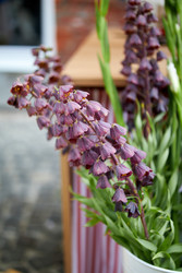 Similar image 22252097