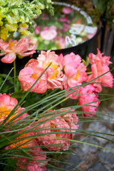 Similar image 22252098