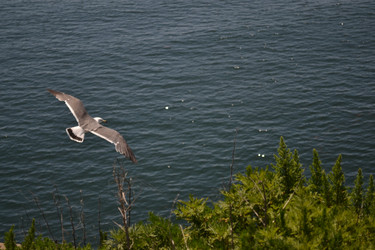 Similar image 22248725