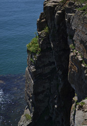 Similar image 22248726