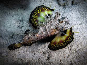 Similar image 22248695