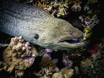 Similar image 22248696