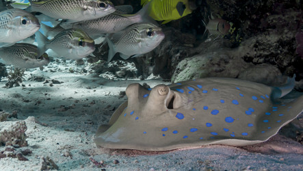 Similar image 22248697