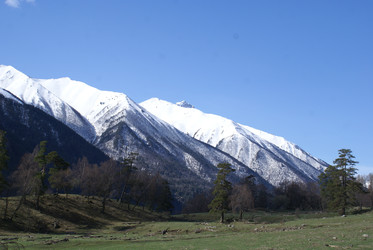 Similar image 22274942