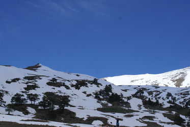 Similar image 22274943