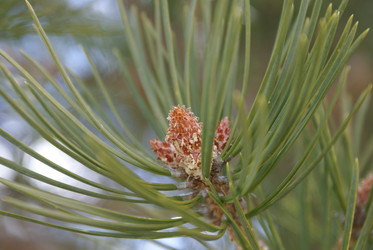 Similar image 22281236