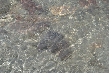 Similar image 22281239