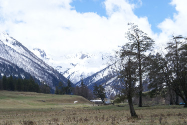 Similar image 22274950