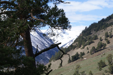 Similar image 22281241