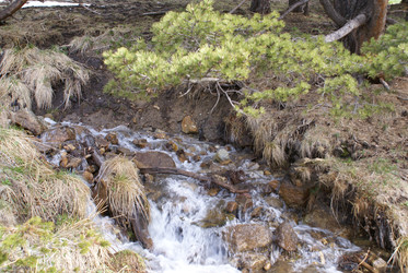 Similar image 22281242