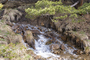 Similar image 22281243