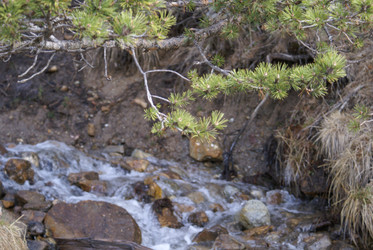 Similar image 22281244