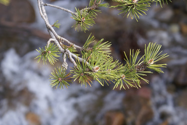 Similar image 22281245