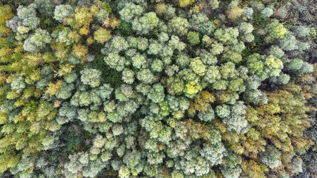 Similar image 22274424