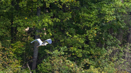 Similar image 22274441