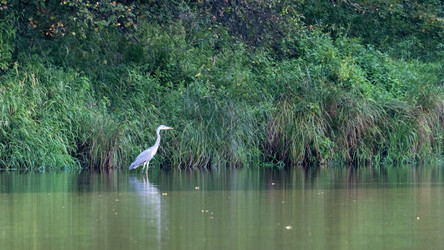 Similar image 22274446