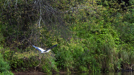 Similar image 22274448